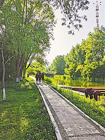 柳州：与广西科技大学共建气候生态康养研究中心(图1)