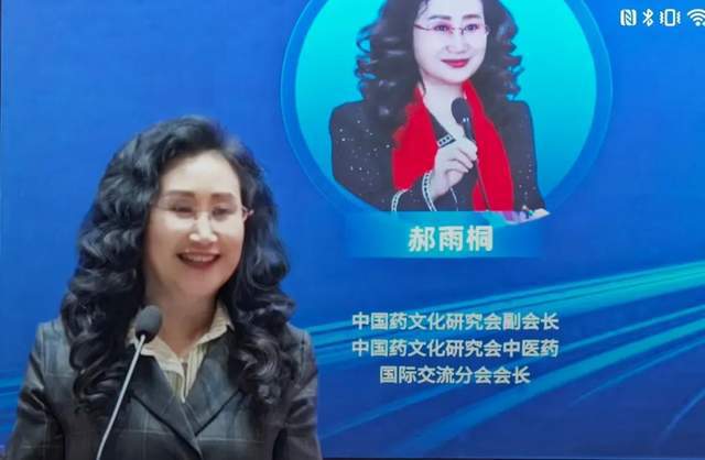 健康养老促进工程大健康中医药产业新质力量大会海口盛大启幕(图1)