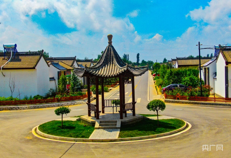 新春走基层｜甘肃灵台：张鳌坡村的新愿景(图4)