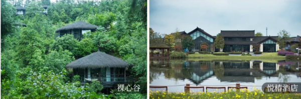 成都著名文旅康养度假区发布重磅消息：全国范围内招募旅居酒店运营伙伴(图18)