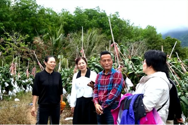 中泰集团携手华唐大健康推动康养新模式——打造山海联动康养旅居新标杆(图9)