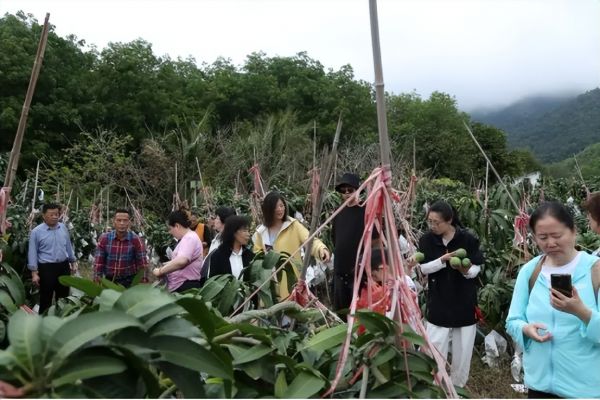 中泰集团携手华唐大健康推动康养新模式——打造山海联动康养旅居新标杆(图18)