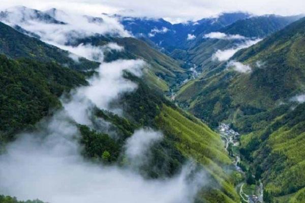 武夷山文旅康养推介会在沪举行解锁“双世遗”旅居新体验(图1)