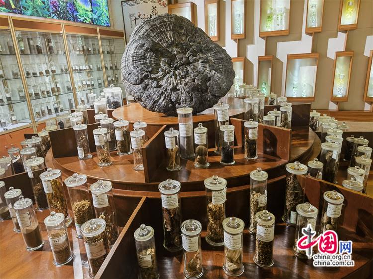 高舜礼：“旅游”视角下的大康养发展(图)(图6)