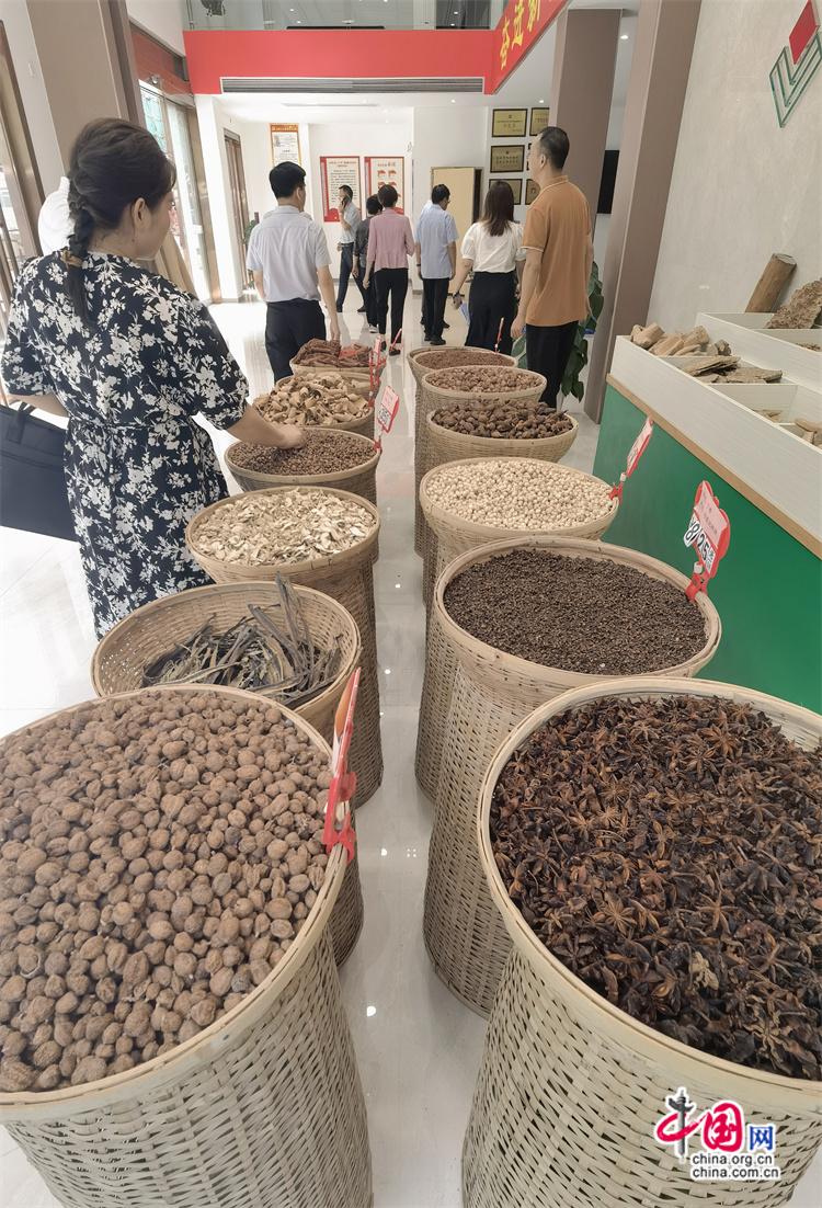 高舜礼：“旅游”视角下的大康养发展(图)(图9)