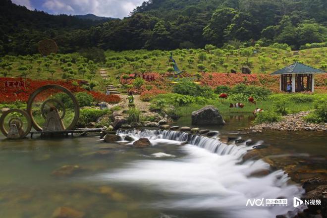 康养、温泉、非遗过端午！绿美广州乡村有约(图3)