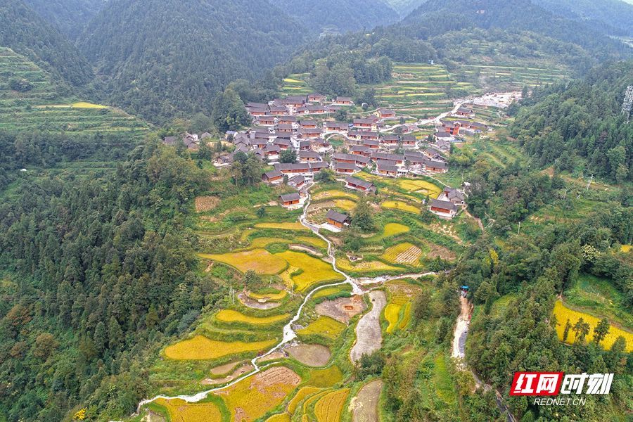 湖南花垣：在山水间拥抱清凉与康养(图1)