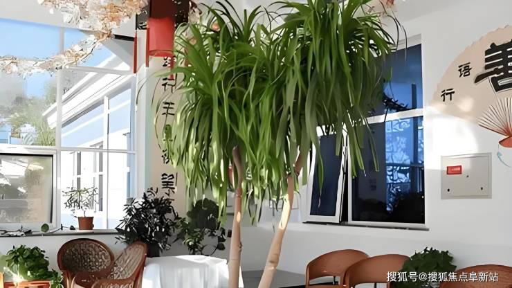 【江达爱心养老院】收费概况：2025地址探寻电话获取(图2)