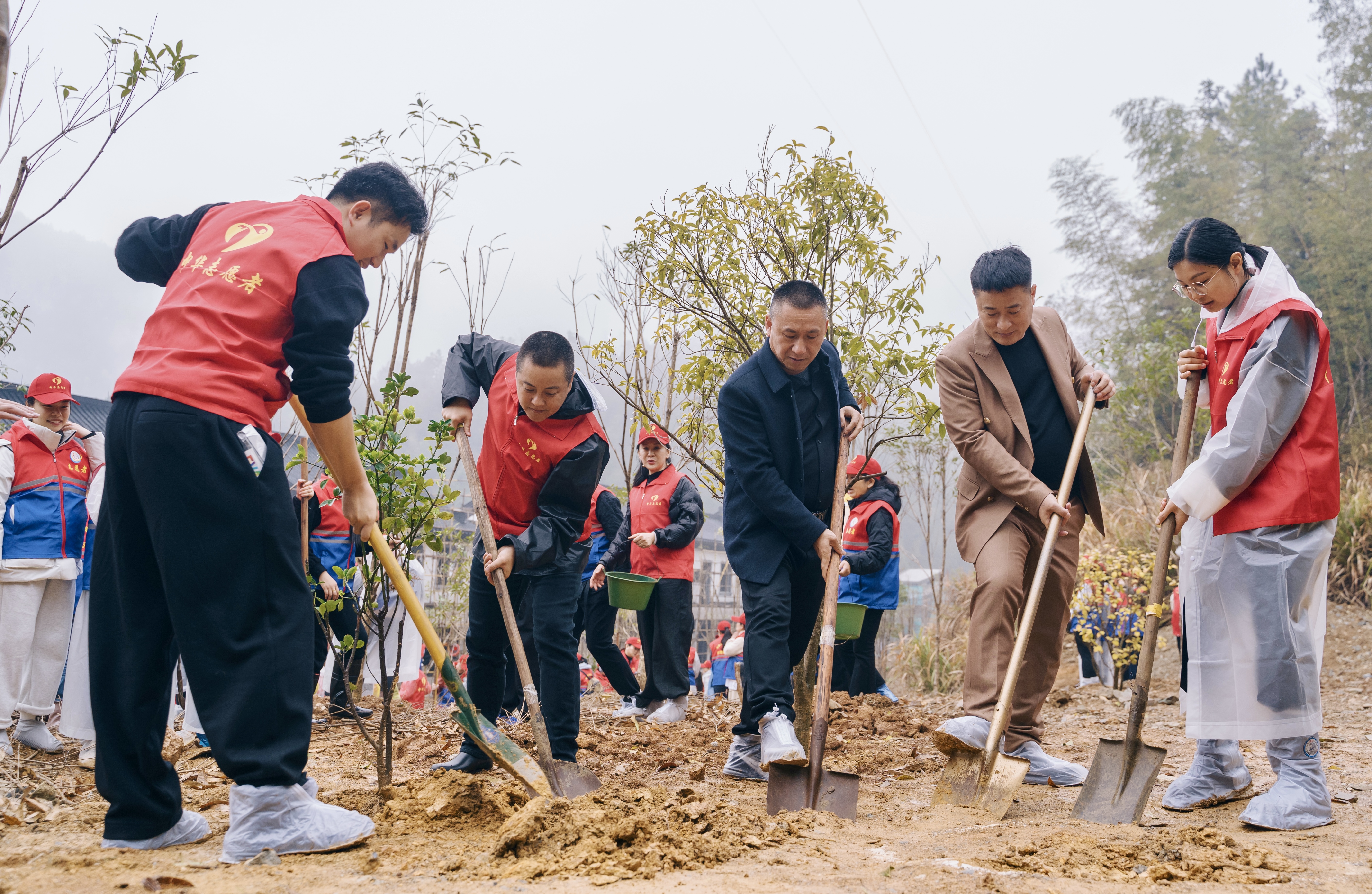 在黄山赴一场康养疗愈之约(图1)