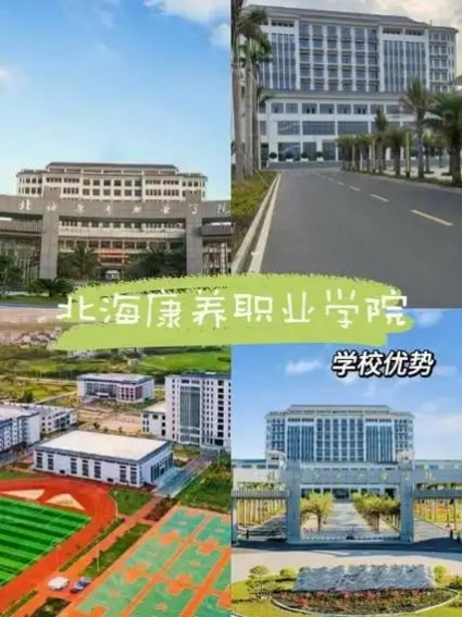 广西康养 高等人才职业技能证书占据广西康养服务市场重要地位(图4)