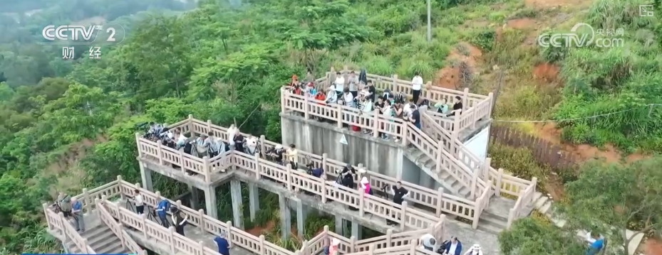 “摄影+康养”火热“出圈” 多业态串联成线激发“银发一族”深度游潜力(图2)