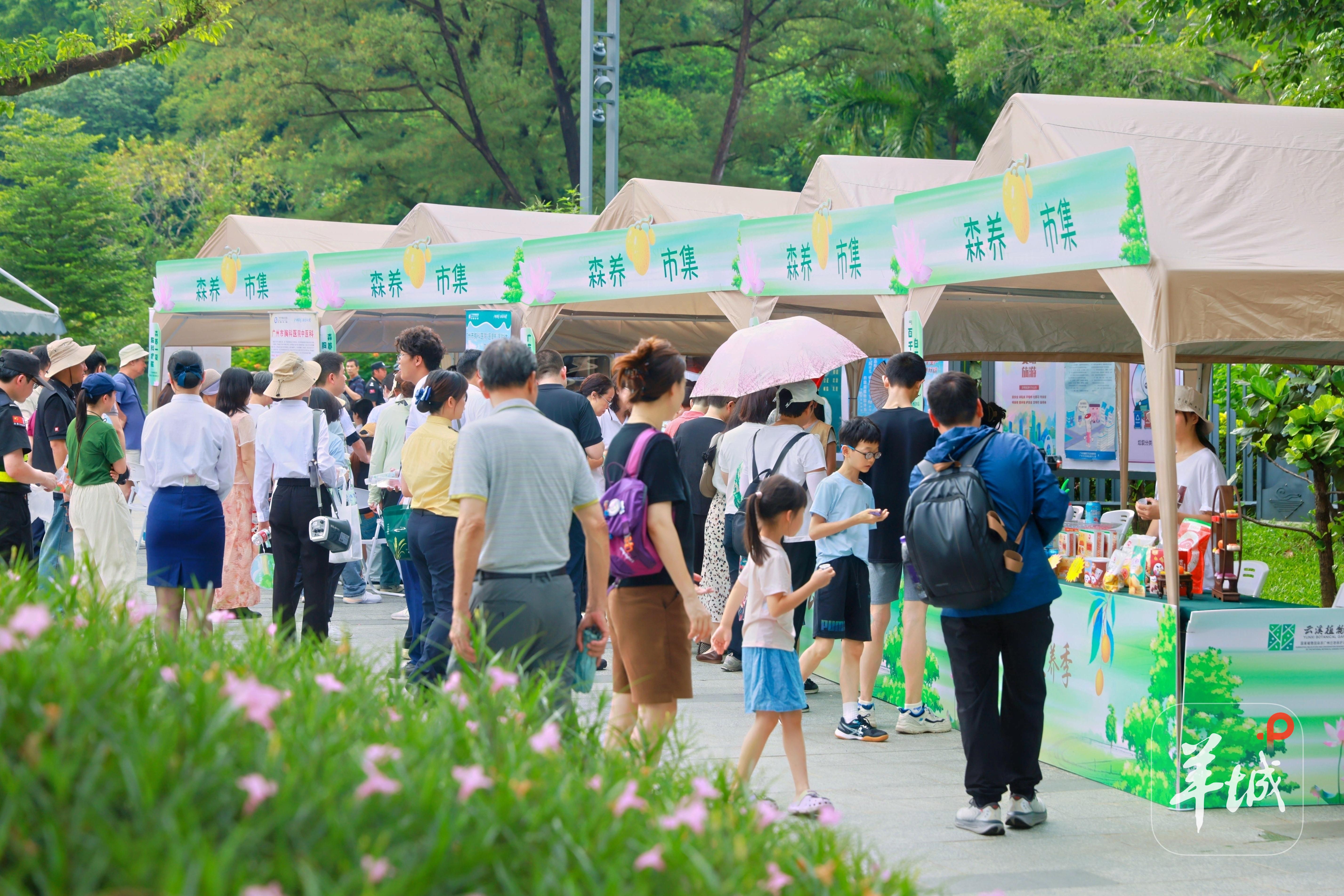 图集 2025夏日云溪森养季启幕开启康养身心新生态(图1)
