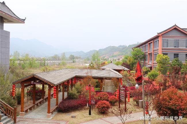 乾翔健康：服务与责任交织打造康养新生态(图1)