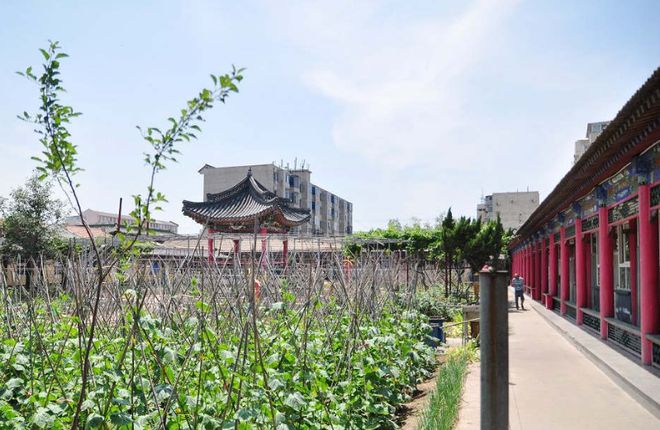 养老测评通州马驹桥镇养老院居住体验+服务内容+价格地址电话(图1)