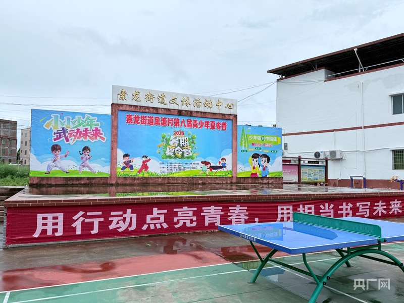 从积分超市到智慧养老云浮“兵支书”解锁乡村治理新路径(图1)