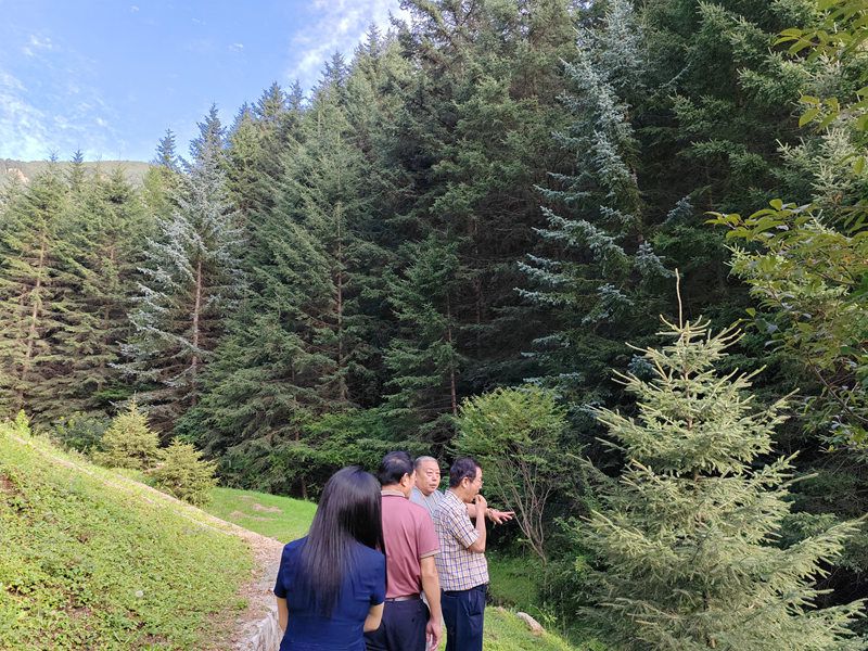 精忠智库专家团赴山西忻州五寨县调研清涟森林氧吧康养基地共绘乡村振兴康养新图景(图3)