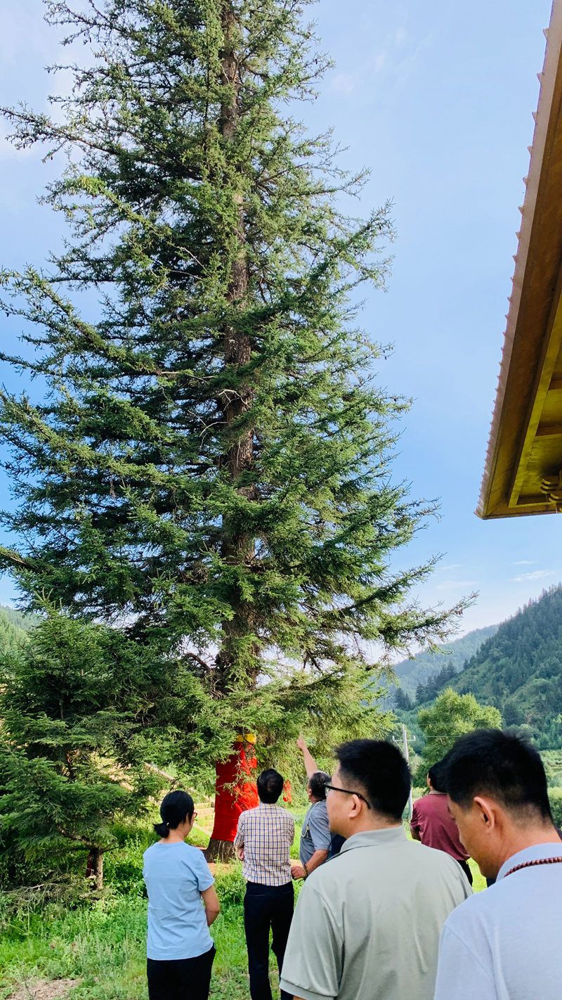精忠智库专家团赴山西忻州五寨县调研清涟森林氧吧康养基地共绘乡村振兴康养新图景(图6)