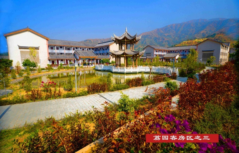 陷阱藏于药酒“名医”虚有其名——《健康快车》的真相(图1)