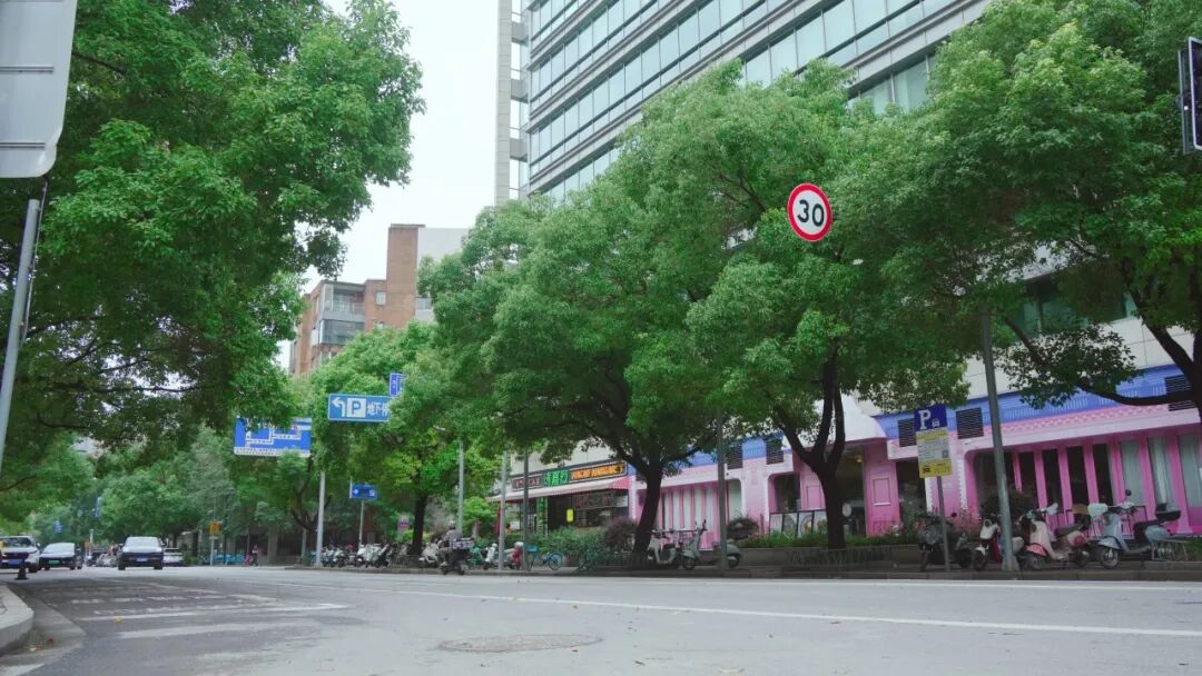 暴雨突襲后的24小時：楊浦這樣守護城市安寧(图1)