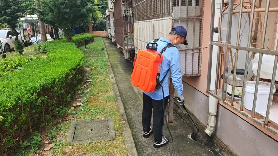 暴雨突襲后的24小時：楊浦這樣守護城市安寧(图3)
